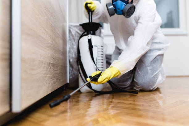 Best Pest Inspection Near Me  in Redfield, SD