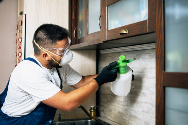 Flea Control Services in Redfield, SD