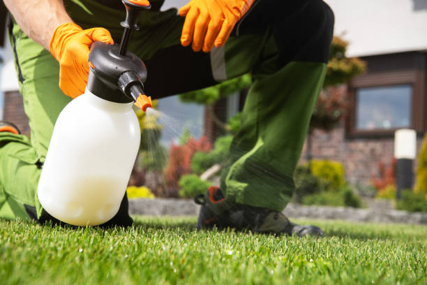 Insect Control in Redfield, SD