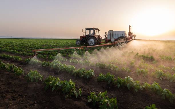 Trusted Redfield, SD Pest Control Experts