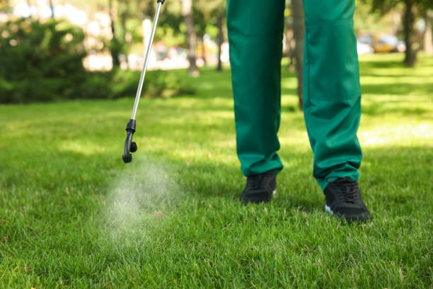 Best Bed Bug Extermination  in Redfield, SD