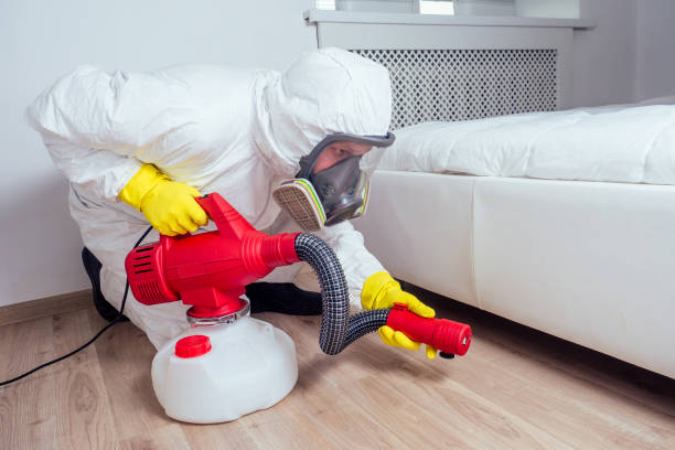 Best Insect Control  in Redfield, SD