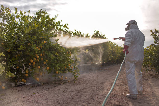 Best Pest Control Near Me  in Redfield, SD