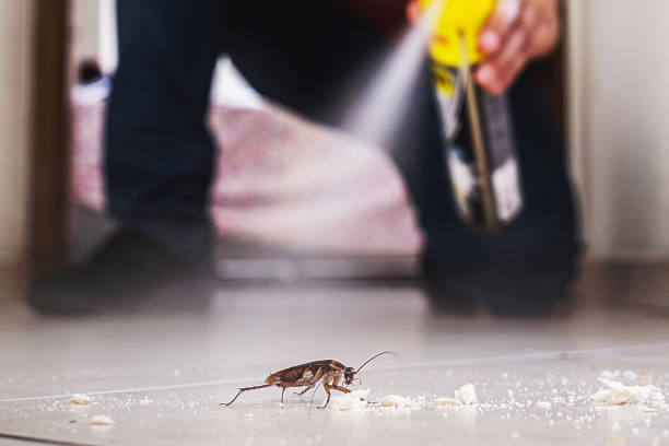 Best Affordable Pest Control Services  in Redfield, SD