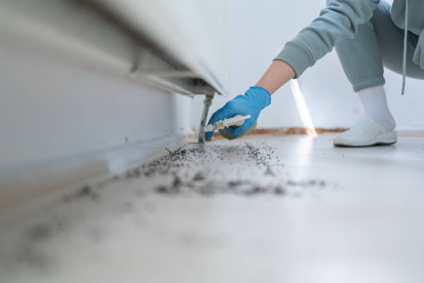 Best Exterminator Services  in Redfield, SD