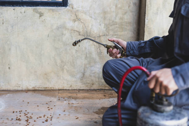Best Local Pest Control Services  in Redfield, SD